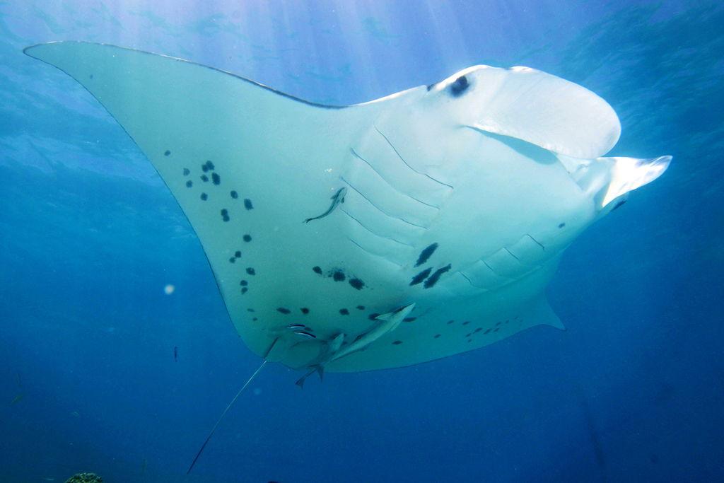 88e2bd96-8635-4d86-b4a7-fca5584ee228