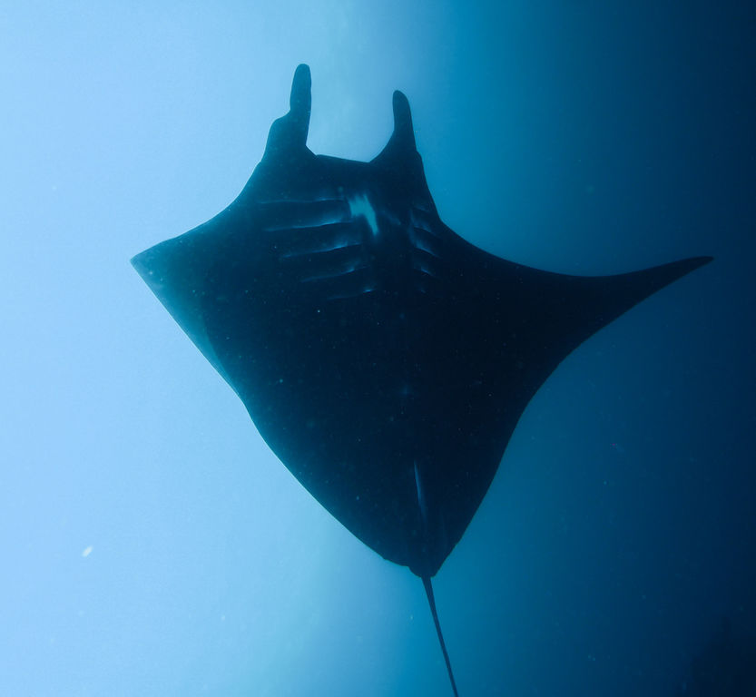 8fbd3a70-1458-450c-8ac5-891a2709ede3