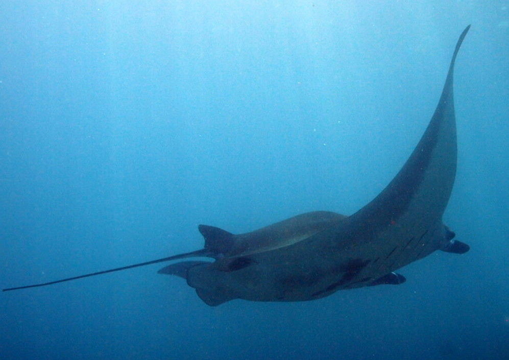 de5f5721-0c9d-4332-aaec-6b018ea7c030