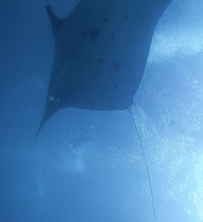 7b74d646-1d03-4408-ac81-5dce39e1b729