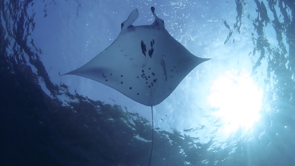 398f2e64-4be5-4152-b3db-174e2be3912a