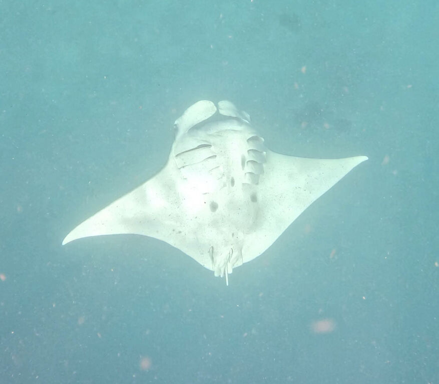 46d13aa0-163c-405a-ab91-c6987654e153