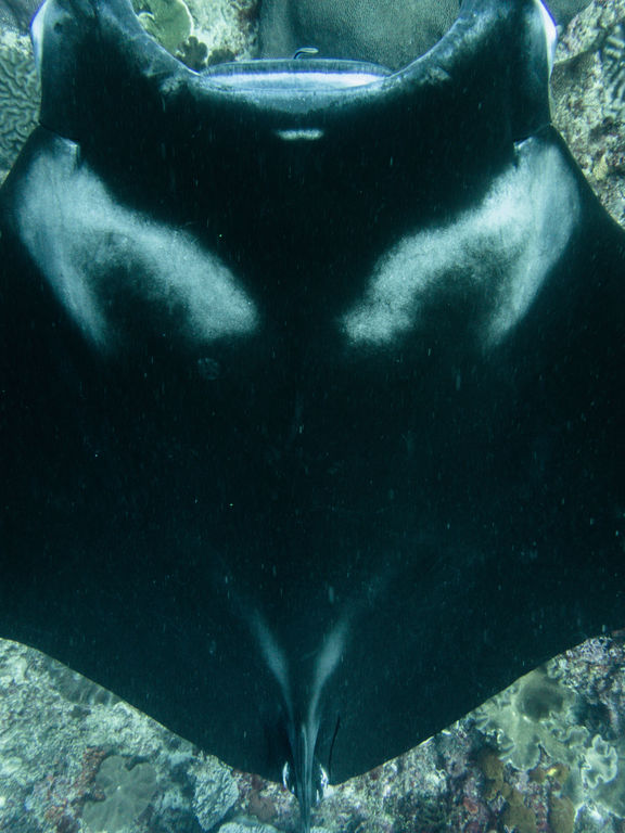 5adbf9cb-0b52-4905-83a6-1c2e6fcad525