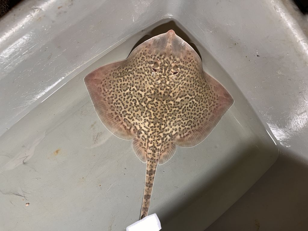 cb9d3d4c-8351-453b-8330-39a20c7c2d34