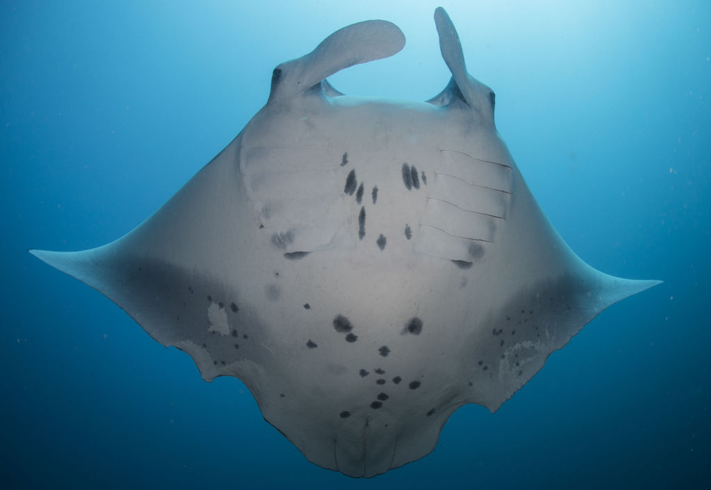 f9f51c91-205e-4d1d-b4c8-8e01616a81ae