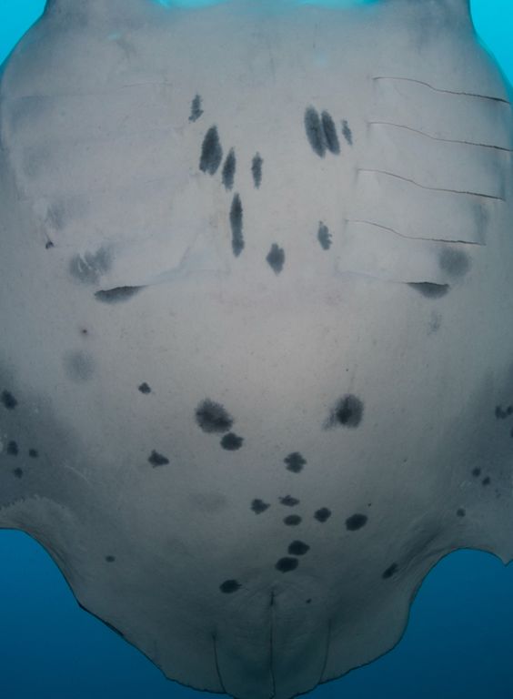 f9f51c91-205e-4d1d-b4c8-8e01616a81ae