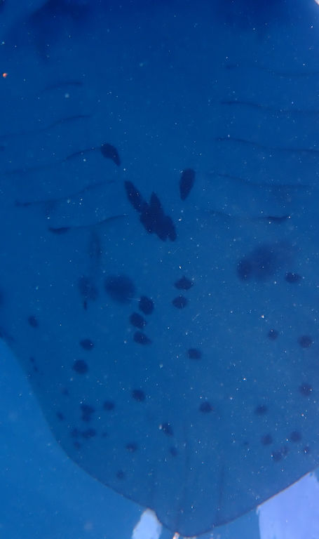 f3375493-eb0a-447f-ab01-3e1f670b74b4