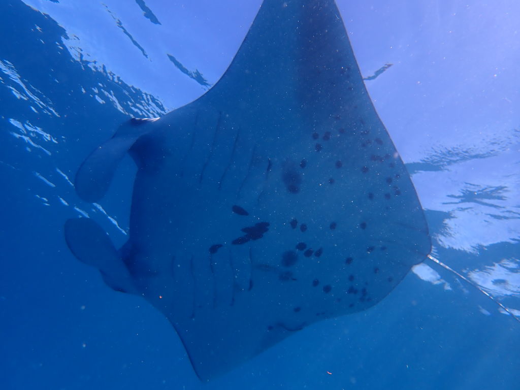 f3375493-eb0a-447f-ab01-3e1f670b74b4