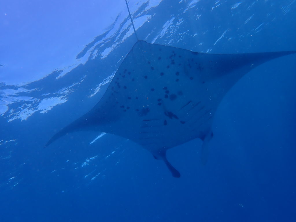 f3375493-eb0a-447f-ab01-3e1f670b74b4