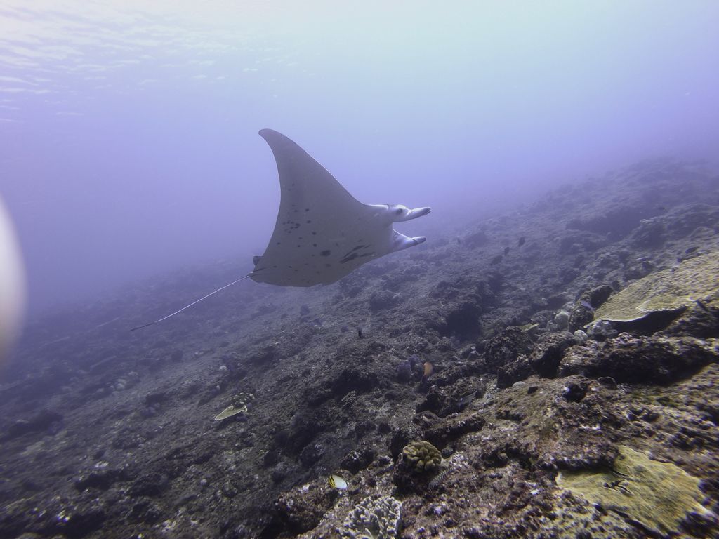 c8273165-67db-4613-a9da-4c72076559ad