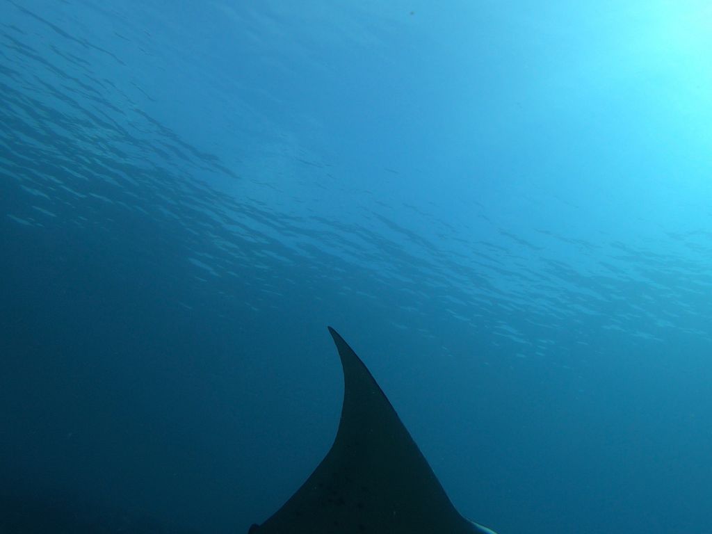 c8273165-67db-4613-a9da-4c72076559ad