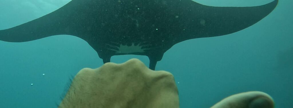 91242716-0514-409b-930c-15dd0ee9c932