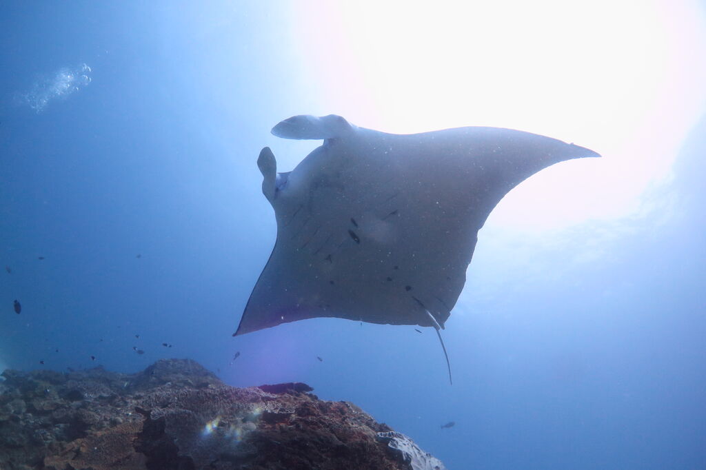 f297f01f-6fed-48d0-82b6-221b8ab0427a