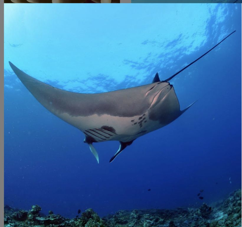 b0b08693-4864-498f-9fbb-ac2fa1bb06e6