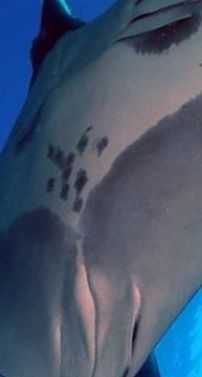 b0b08693-4864-498f-9fbb-ac2fa1bb06e6