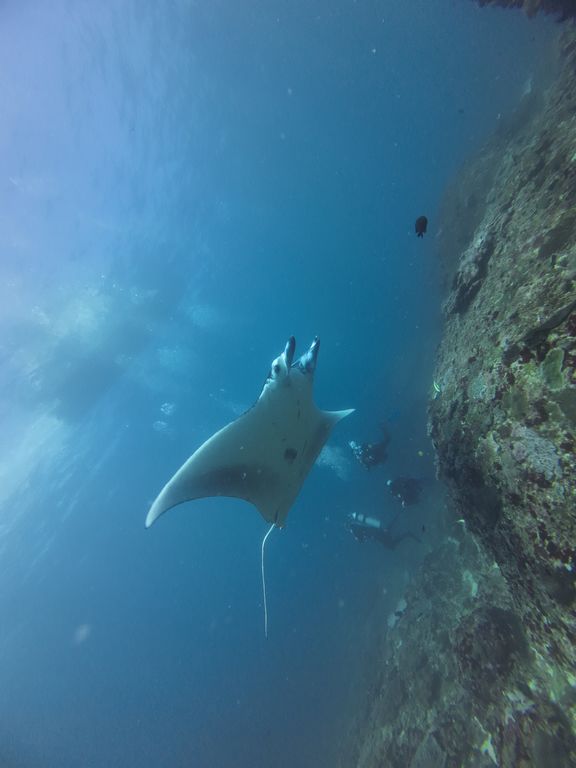 a8952e1c-36e2-41dd-a8ed-1b20825eaa07