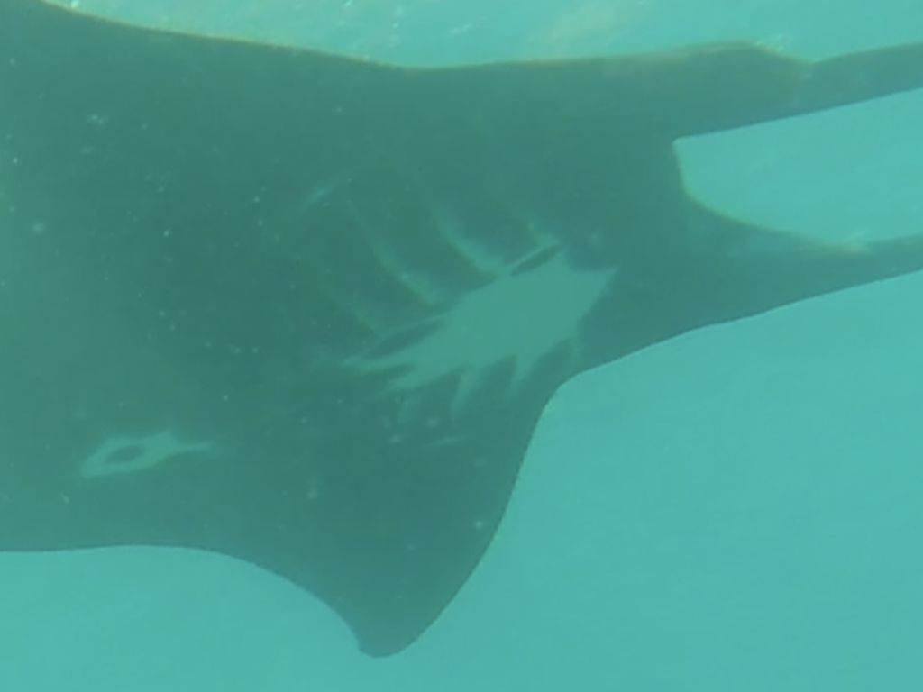 de4abe37-235b-47fb-b385-67139db4f62a