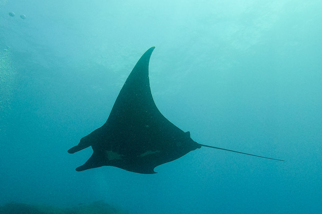 eca5b21f-8e4b-4602-b24c-9c4bb407e847