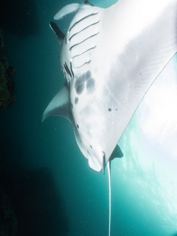 de5f5721-0c9d-4332-aaec-6b018ea7c030