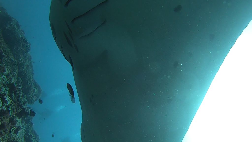 2f4334e1-6617-4040-9f73-02184e8c1e3b