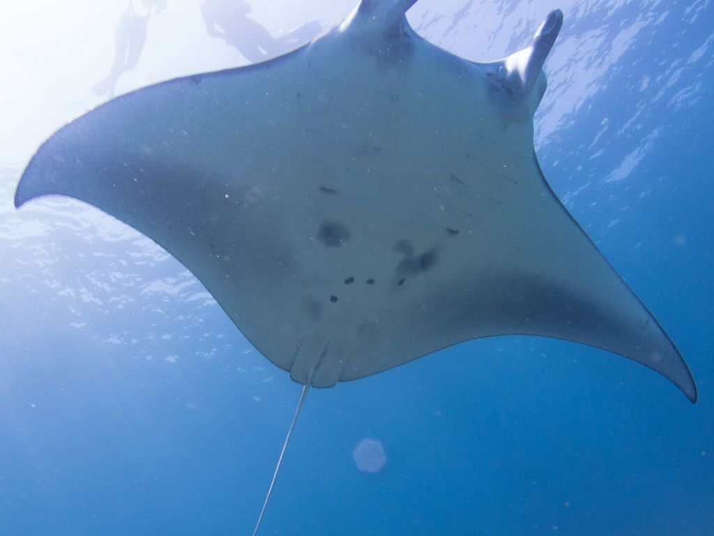 63409d76-e904-4234-ba61-9ad1d27cf053