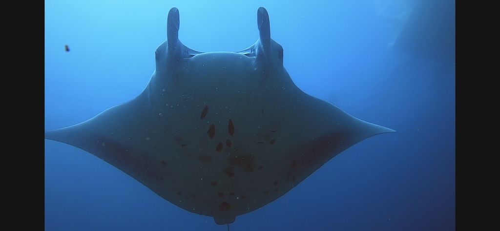 a39402c1-22e6-4ec2-8976-3995848e5439