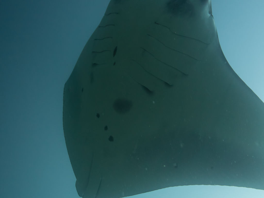 2f4334e1-6617-4040-9f73-02184e8c1e3b