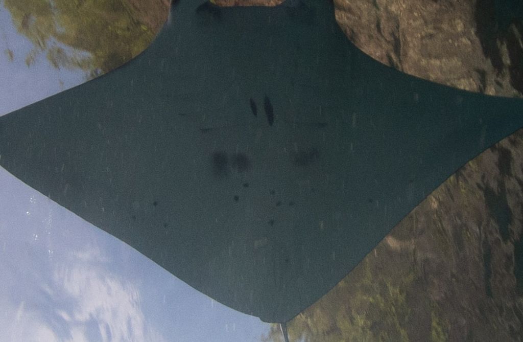 ca487990-7ddf-4e50-a701-6d610b60628f