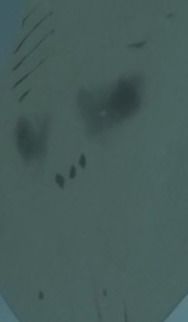 0c5e9620-a449-48a0-a892-5063d9be0f2c