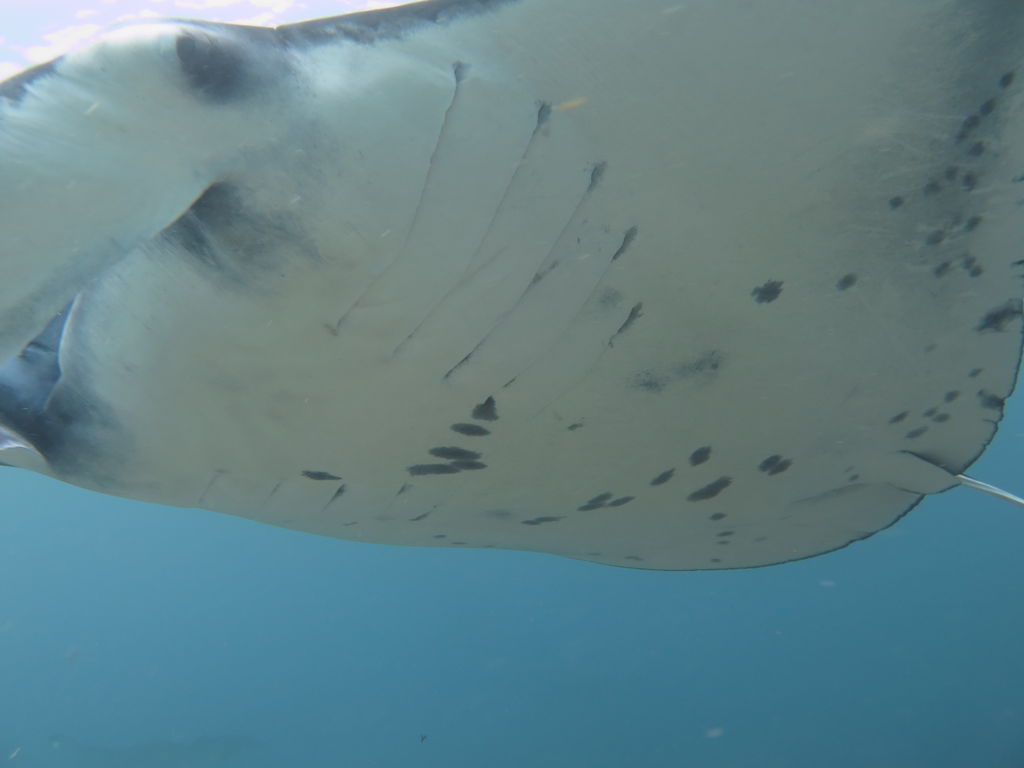 3961db27-b625-4ff2-bc29-3760aac24d72