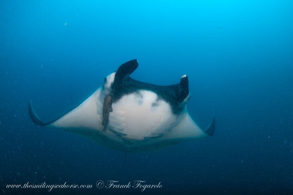 829e7ef1-4201-4575-820f-2d83dc7f19e4