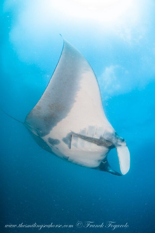 829e7ef1-4201-4575-820f-2d83dc7f19e4