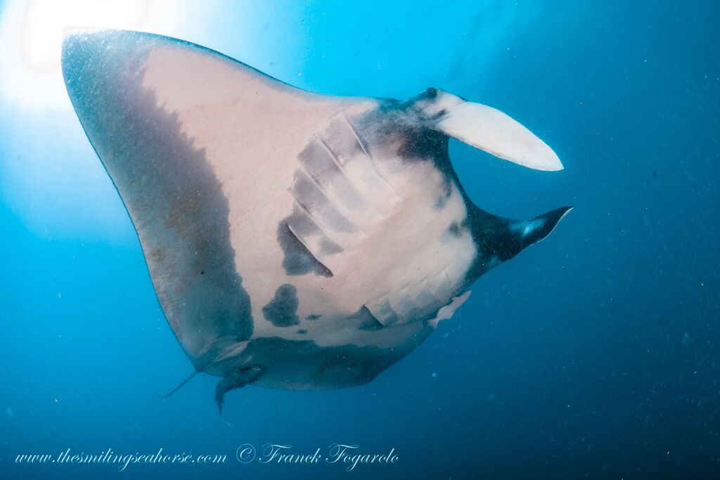 829e7ef1-4201-4575-820f-2d83dc7f19e4