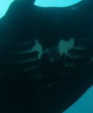 89689e31-0fa4-47d2-884c-164808d236c0