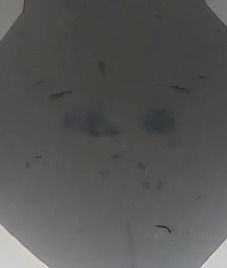 63eb5a72-8192-4081-b8b5-648dabdc5a62