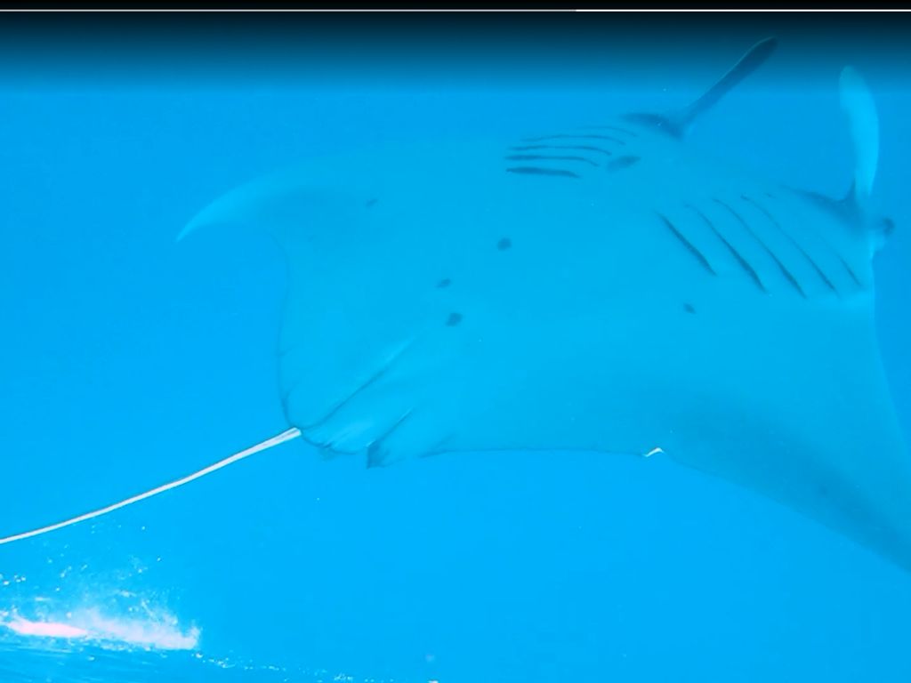 4f0ced2e-94ff-4668-a566-c32cc52f0afc