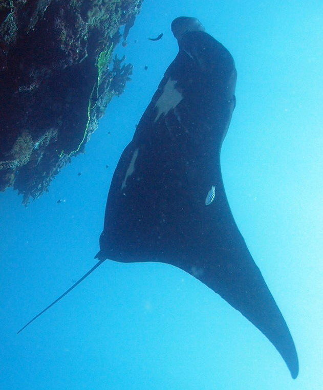 eca5b21f-8e4b-4602-b24c-9c4bb407e847