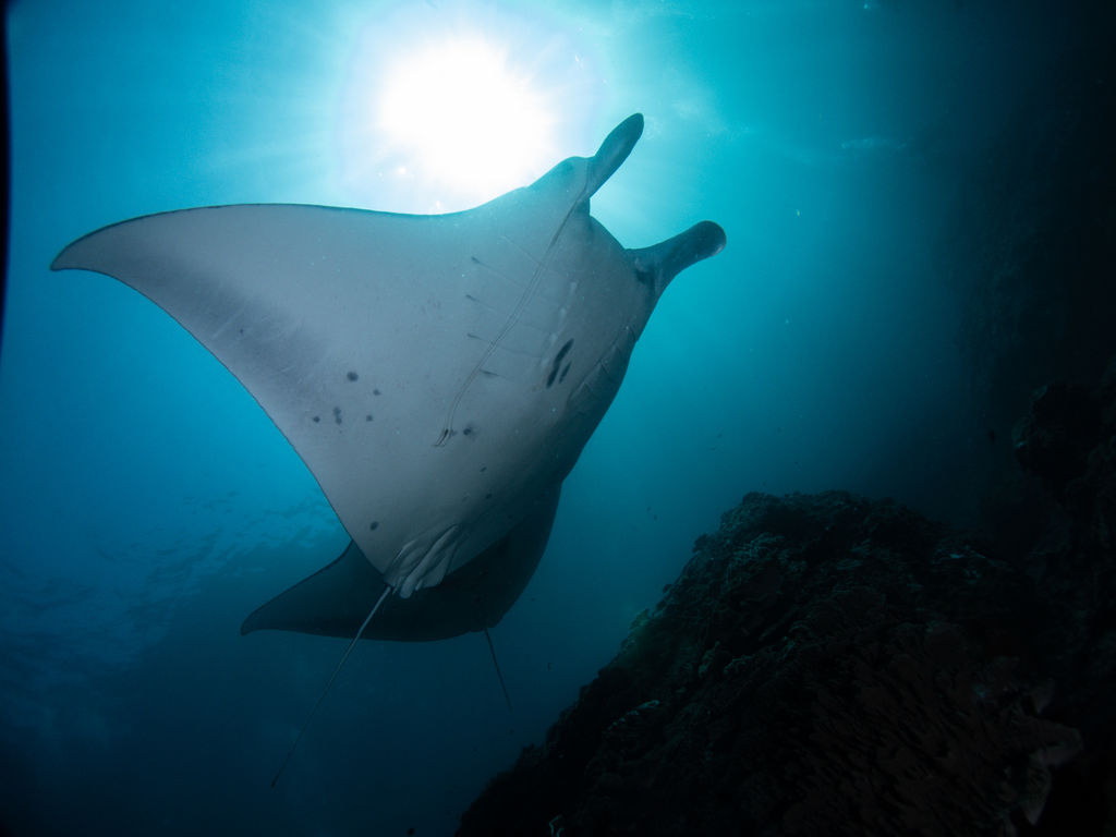 b4c3275c-51ce-4027-9d8c-fa3a9284da53