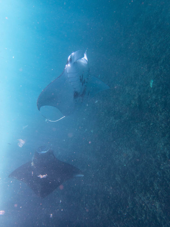 794275da-3483-4373-8a99-9a60512b8a56