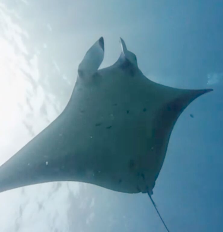 b778e213-6903-4614-8b20-b2f898d13a2e