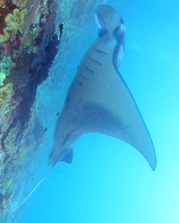 8e3aae23-b895-4570-a4d7-f935fcd95a0d