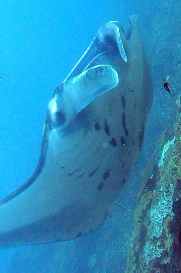 8e3aae23-b895-4570-a4d7-f935fcd95a0d