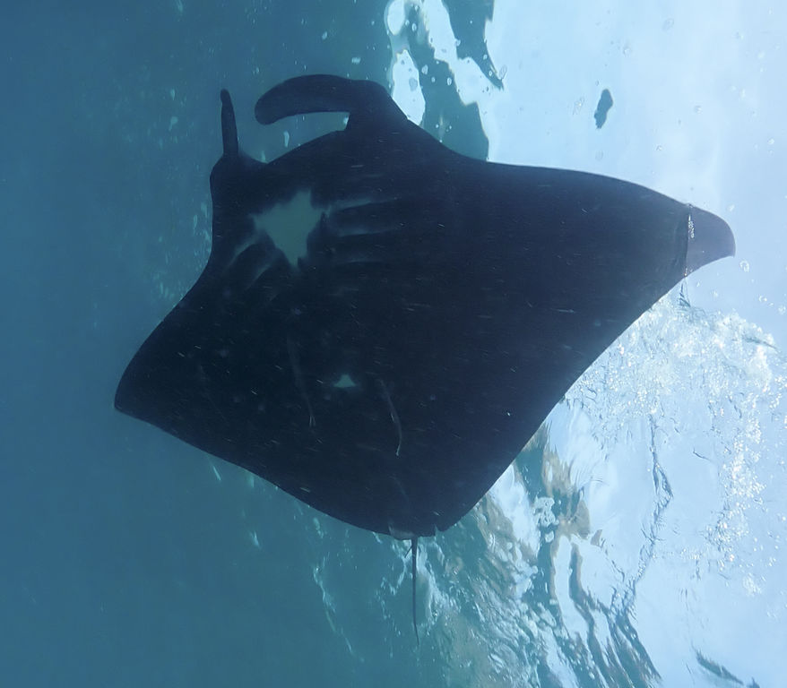 b0bd5ddd-3e6e-4e82-b89b-5225d32dae95