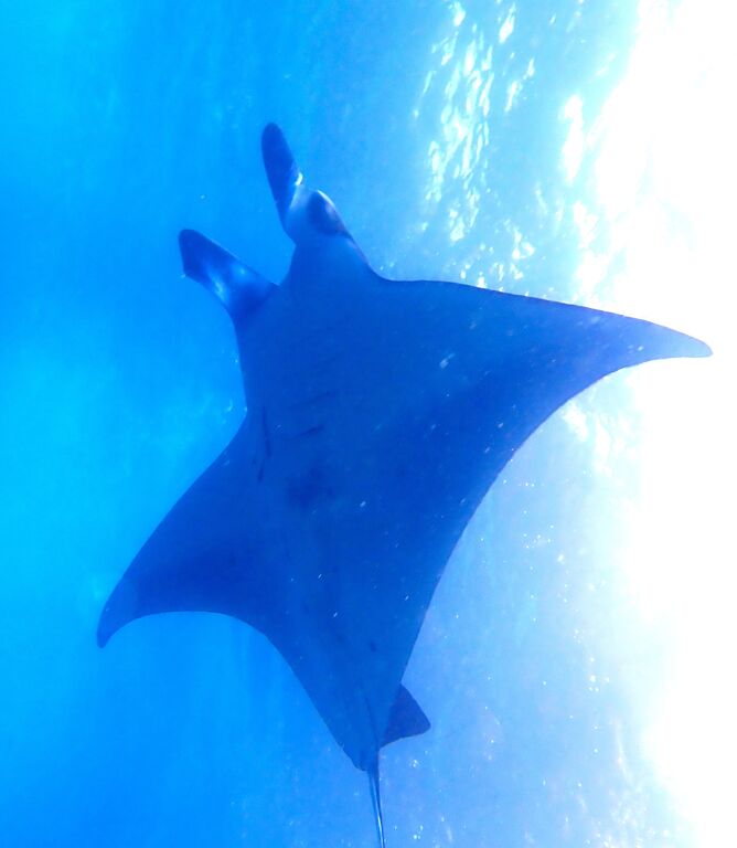 3e6c8c7b-8963-4c1a-a382-2714e68047f2