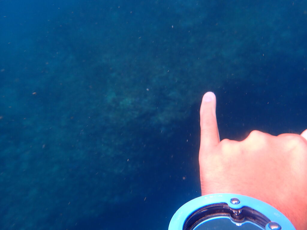 3e6c8c7b-8963-4c1a-a382-2714e68047f2