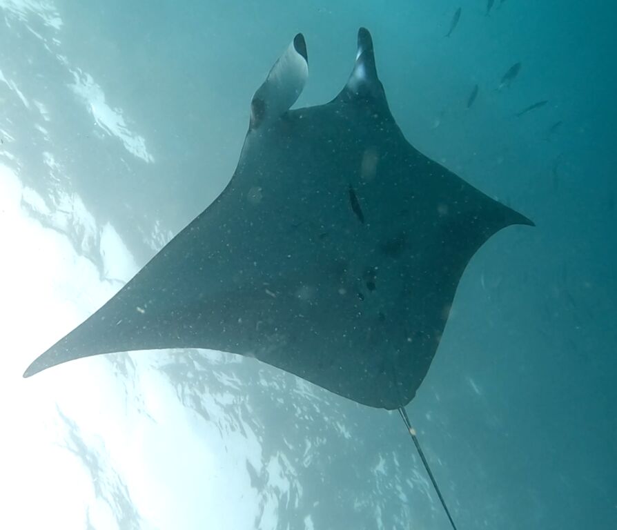 3e6c8c7b-8963-4c1a-a382-2714e68047f2