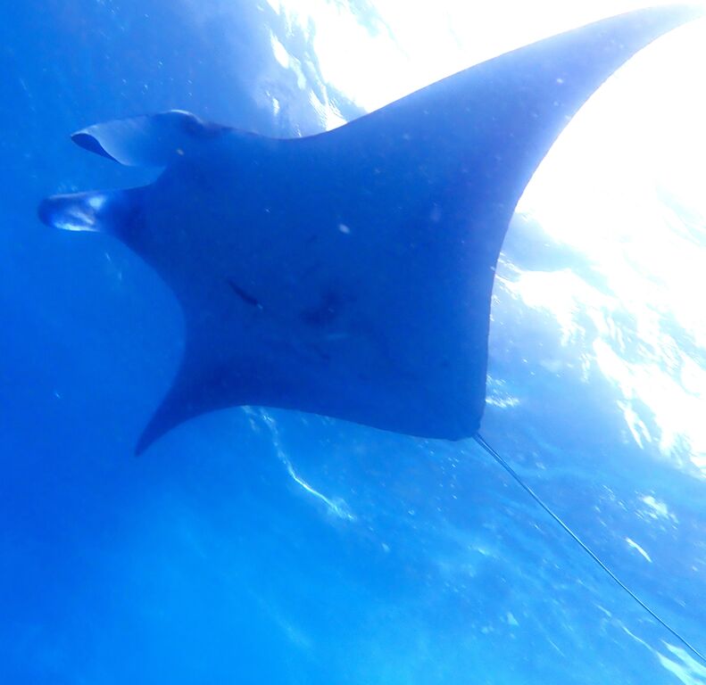 3e6c8c7b-8963-4c1a-a382-2714e68047f2