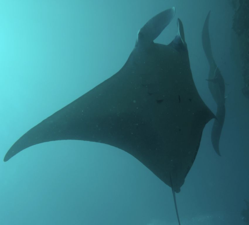 5b1bad23-b49f-4206-830a-91e454de461e