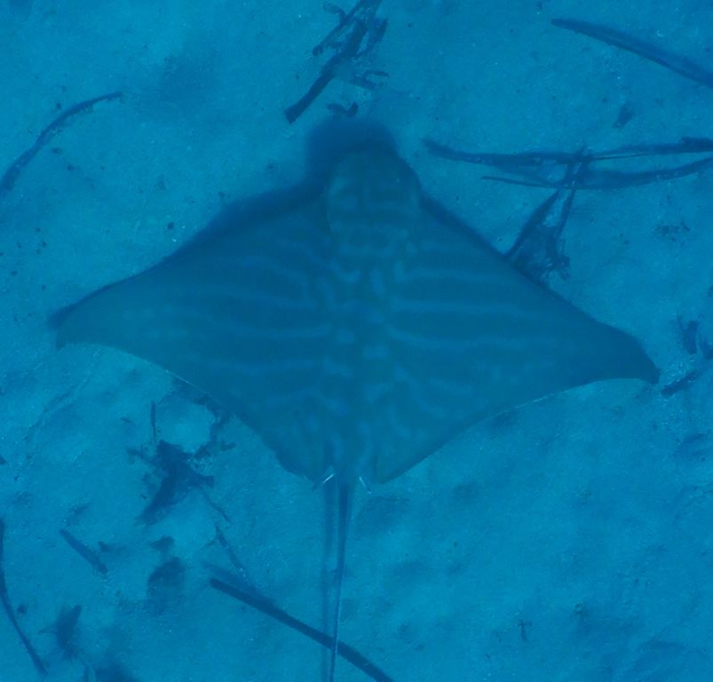 0083e962-196d-40d4-8ed2-b10d6ebefb87