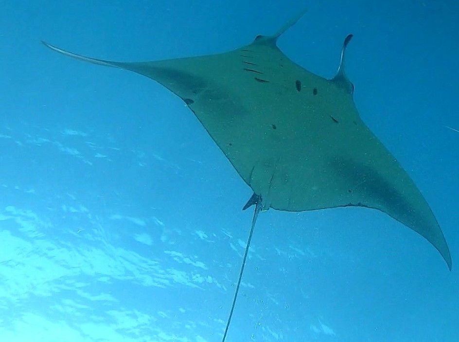 717af837-b678-45b9-ab9b-68ef69d130ac